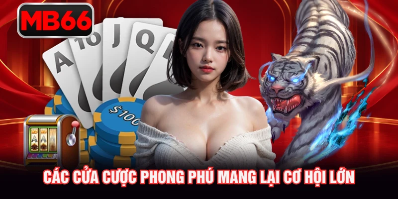 Các cửa cược phong phú mang lại cơ hội lớn Các cửa cược phong phú mang lại cơ hội lớn