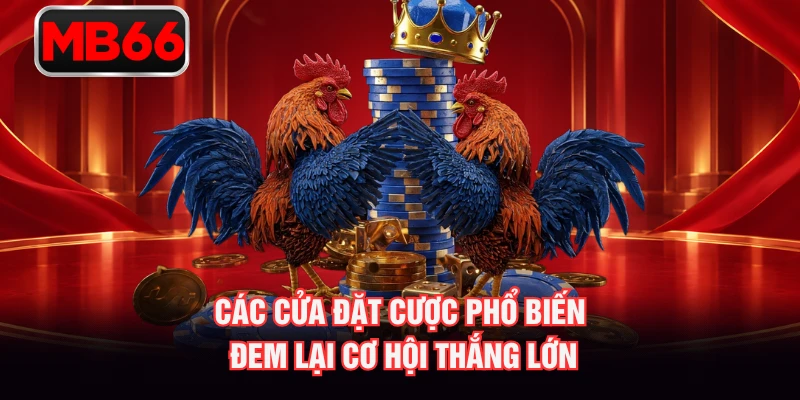 Các cửa đặt cược phổ biến đem lại cơ hội thắng lớn Các cửa đặt cược phổ biến đem lại cơ hội thắng lớn