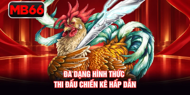 Đa dạng hình thức thi đấu chiến kê hấp dẫn Đa dạng hình thức thi đấu chiến kê hấp dẫn
