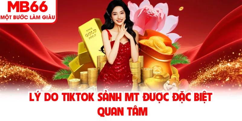 Lý do tiktok sảnh MT được đặc biệt quan tâm Lý do tiktok sảnh MT được đặc biệt quan tâm
